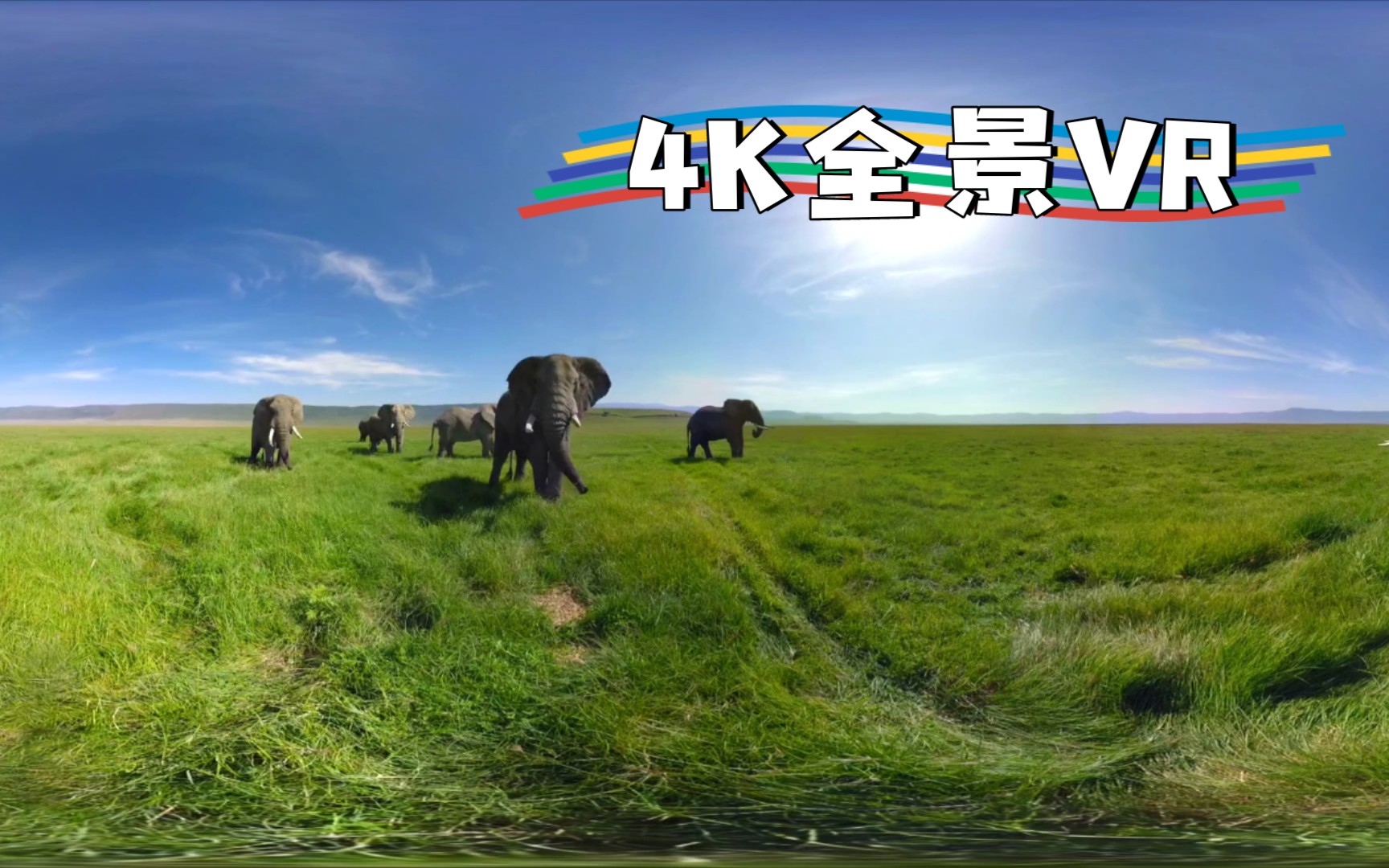 什么是vr全景视频VR全景视频和VR又有什么区别(图1)
