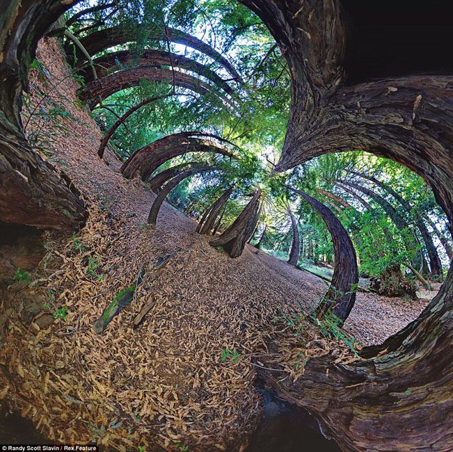 十大VR体验馆品牌(图1)
